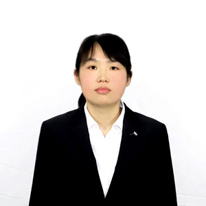 公司团队