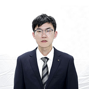 公司团队